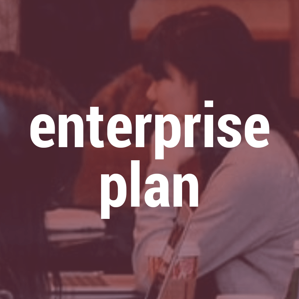 Enterprise  Plan